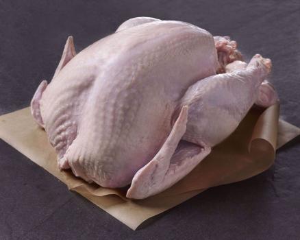 Kosher Turkey Approx. 12-14 lbs.