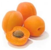 Kosher Apricots LB.
