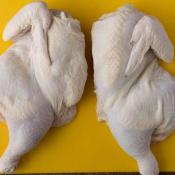 Kosher Whole Chicken Cut in Half -3.5 lbs