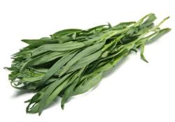 Kosher Fresh Tarragon (Bunch)