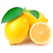 Kosher Lemons (Each)