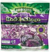 Kosher Bodek Red Cabbage 8 oz