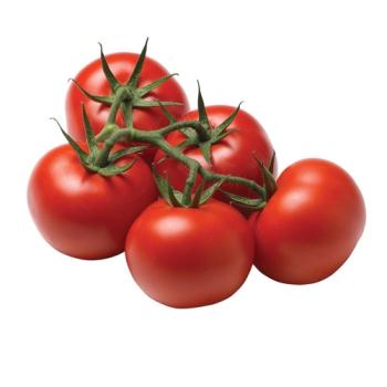 Kosher Vine Tomatoes LB.