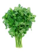 Kosher Fresh Cilantro (Bunch)