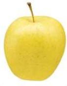 Kosher Yellow Golden Apples LB.