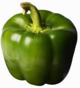 Kosher Holland Green Bell Pepper LB.