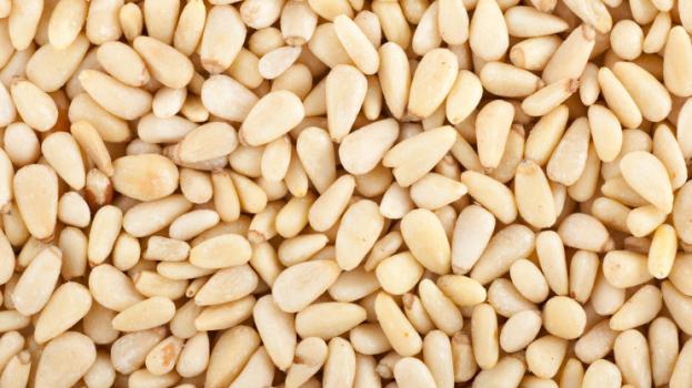 Kosher Setton Chinese pinenuts 16 oz