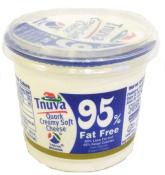 Kosher Tnuva Creamey Soft Cheese 95% Fat Free 8 oz