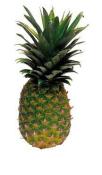 Kosher Pineapple (Each)