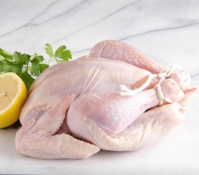 Kosher Mini Cornish Hens 1lb Pack Each