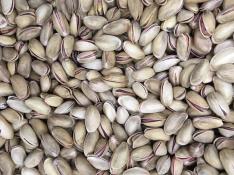Turkish Pistachio