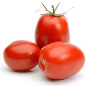 Kosher Plum Tomatoes LB.