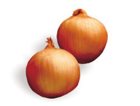 Kosher Spanish Onions LB.