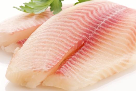 Kosher Tilapia Fillets 1lb