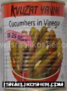 Mini pickles in vinegar